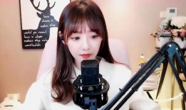 91有哪些网红主播直播,揭秘热门直播间背后的魅力与影响力”