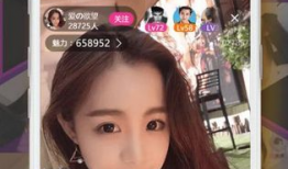 国外福利性爱直播网站,揭秘国外福利性爱直播网站的隐秘世界